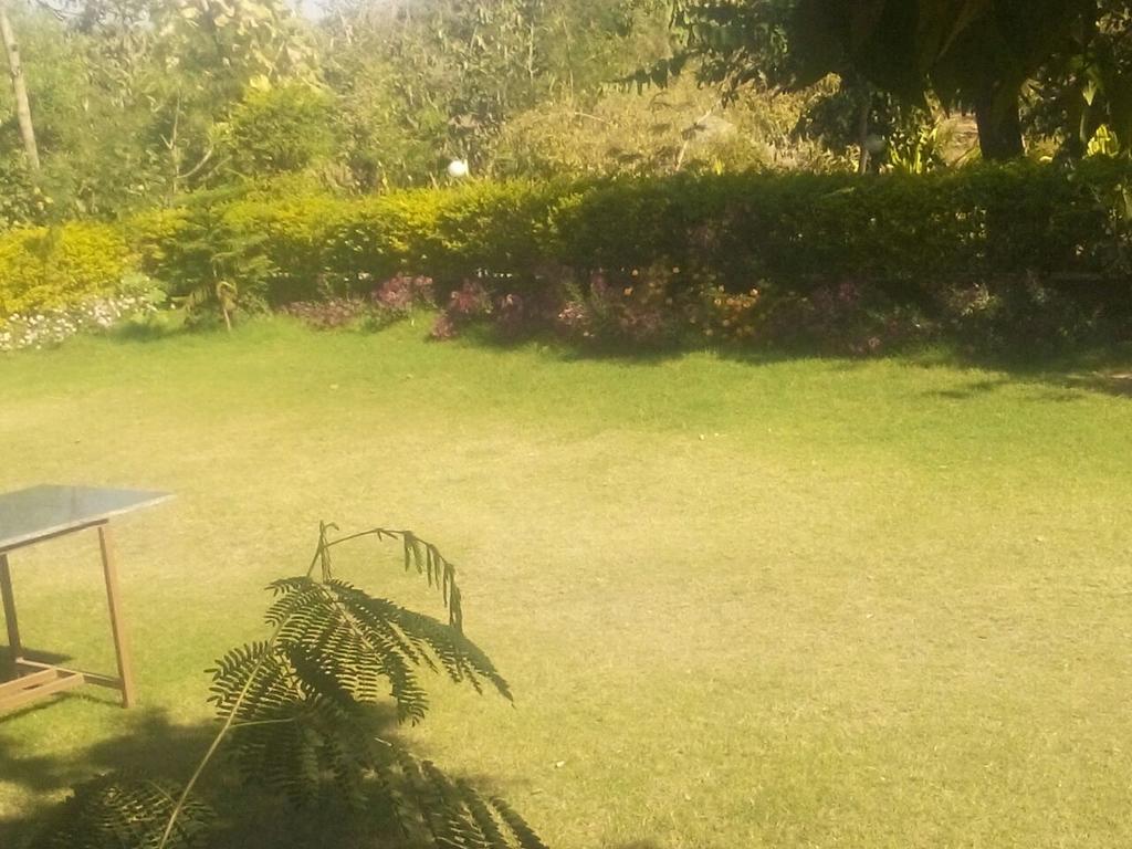 Rishi Valley Resort Farmstay Pushkar Zewnętrze zdjęcie